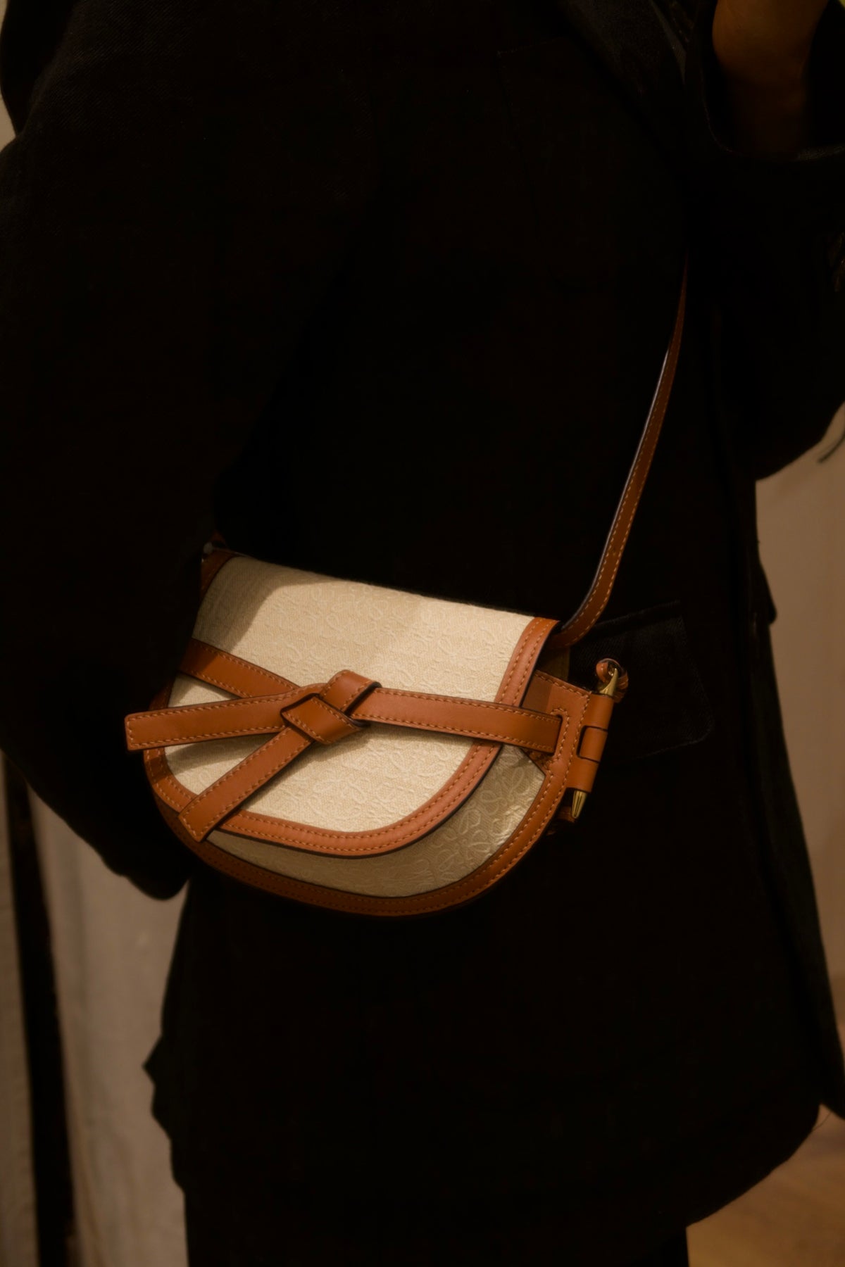 Loewe Gate Dual Mini Shoulder Bag
