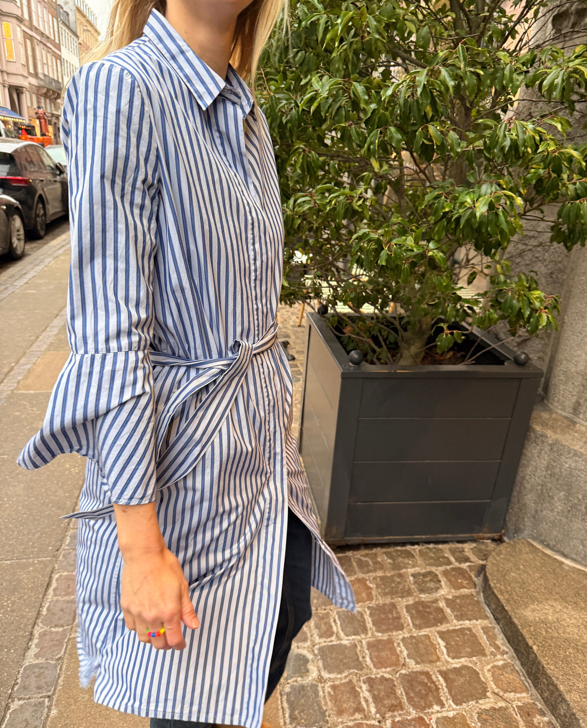 Britt Sisseck Dress